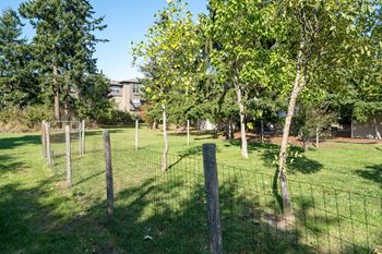 Fenced pet area